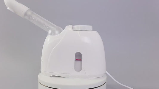 2 in 1 Facial Steamer and Hair Steamer